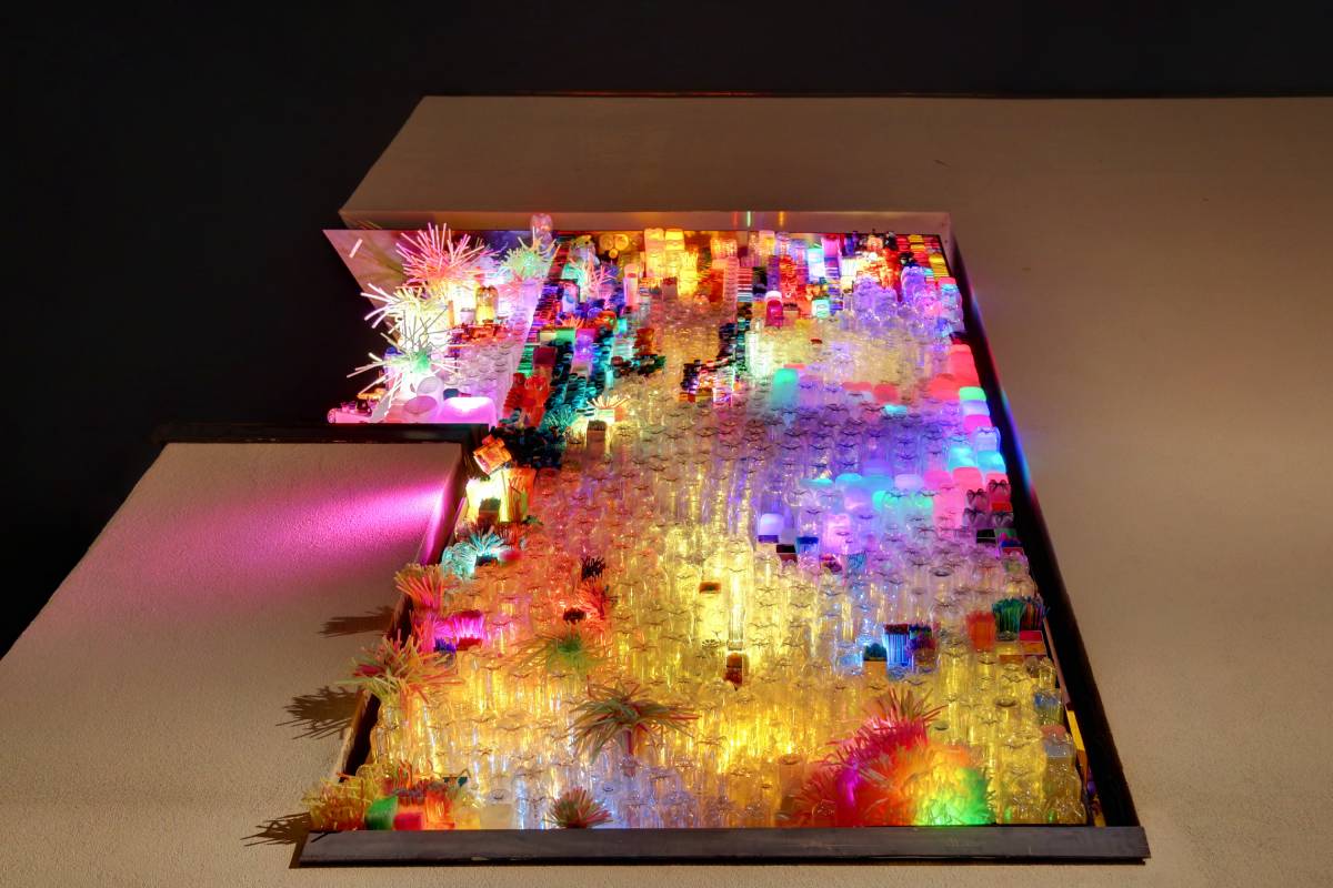 Durham Lumiere 2019 pictures: Fusion illuminates recycled plastics with LEDs