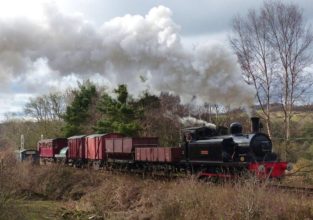 durham-events-this-weekend-february-22-24-2019-explorar