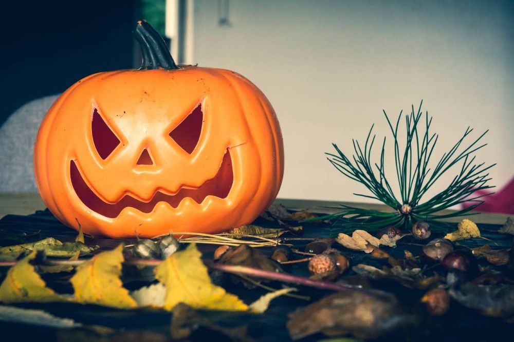 Durham Market Hall has five days of free Halloween fun ExplorAR