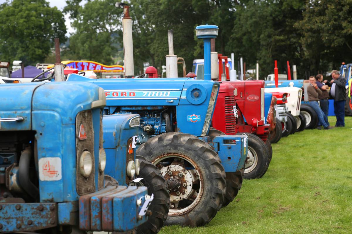 Eggleston Show 2019 date, schedule and ticket prices