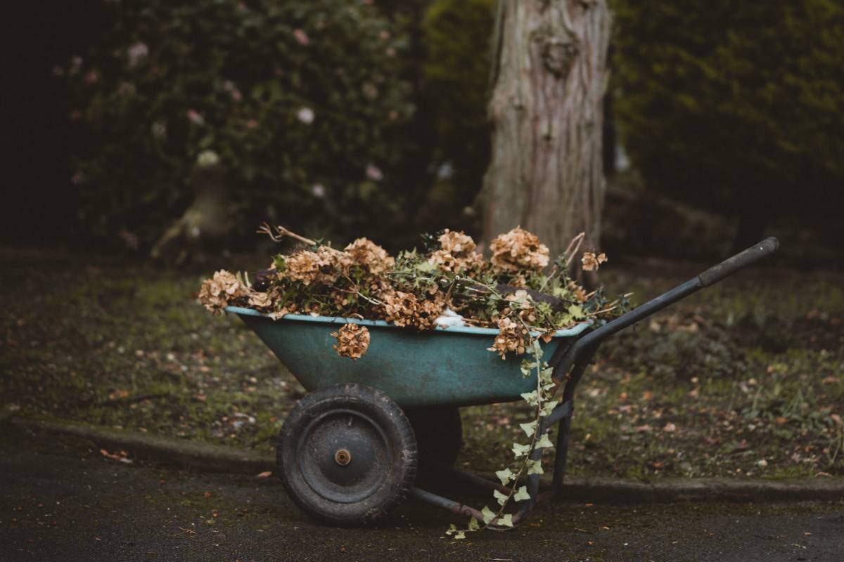 How to sign up for garden waste brown bin collection in Durham for 2020