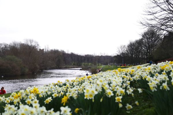 Five ways to enjoy the signs of spring in Durham this Easter 2019