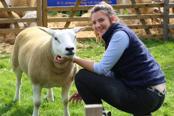 19 Wolsingham Show pictures that sum up the 2019 festival