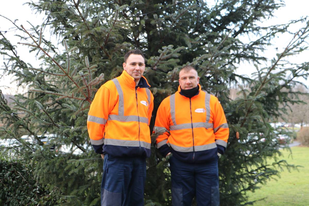 Christmas tree collection and recycling in Durham is available to book
